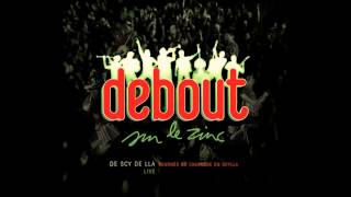 Video thumbnail of "Debout sur le Zinc (Live) // 09 - Poils aux yeux [De Scy de Lla]"
