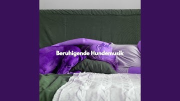 Pulsating Ambiance for Snuggly Pups