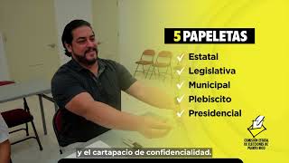 Conoce el proceso de votación en colegios del 5 de noviembre.