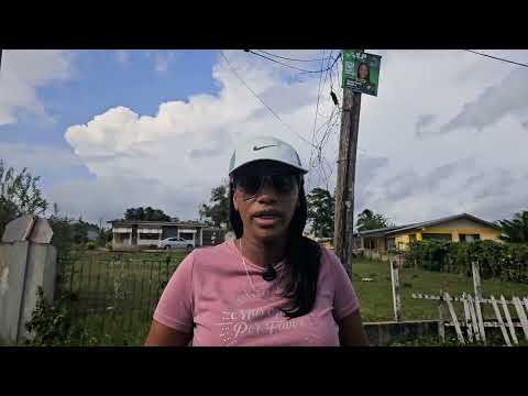 Crawford urges supporters not to retaliate after JLP posters, flags torn down in Mandeville