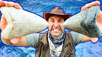 Shark Tooth Challenge! Digging for GIANT Megalodon Teeth!
