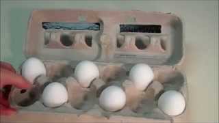 The Best Way To Arrange Eggs Mathematically!