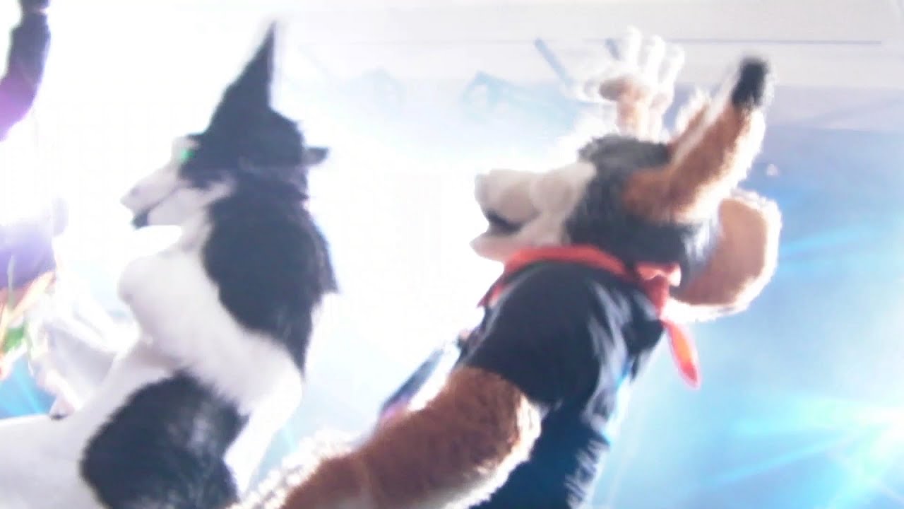 BAD NEWS! Rainfurrest 2016 moving to Spokane