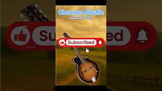 Cherokee Shuffle #shorts #musicshorts #countrymusic #bluegrass #mandolin