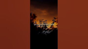 تلاوة خاشعةمن سورة مريم ❤️ #قرآن #تلاوة_خاشعة #قران_كريم #fyp