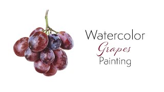 Paint realistic grapes with watercolors 🍇 how to mix colours and why layering is important 🎨