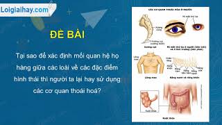 Trả lời câu hỏi số 1 Trang 107 SGK Sinh học 12