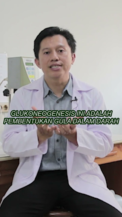 MEKANISME DAUN YAKON SEBAGAI ANTI DIABETES (PART IV)