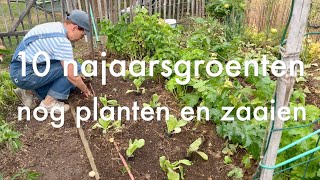 Download Lagu Ini's Moestuin #250 - 10 najaarsgroenten nog planten en zaaien \u0026 winnaars tomatensmaak wedstrijd. MP3 Download Lagu Ini's Moestuin #250 - 10 najaarsgroenten nog planten en zaaien \u0026 winnaars tomatensmaak wedstrijd. MP3