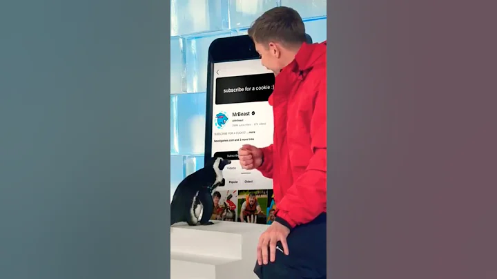 Can I Teach a Penguin To Subscribe #mrbeast #mrbeastshorts #shorts