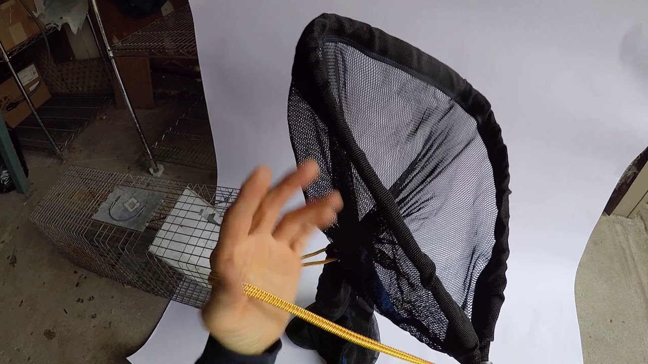 FREEMAN MULTI-PURPOSE NET - YouTube