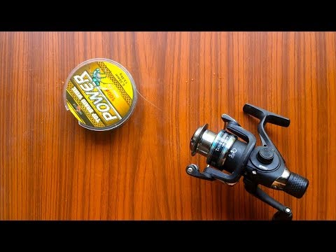 როგორ მივაბათ ძუა კოჭაზე