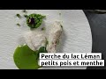 Perche du lac lman petits pois et menthe