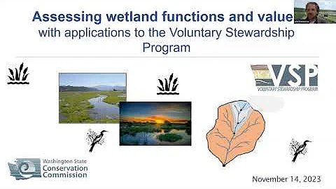 Assessing Wetland Functions and Values with Applications to the Voluntary Stewardship Program
