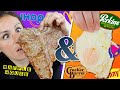 Ranking Steak & Eggs at Chain Restaurants 🥩🍳 Best To Worst