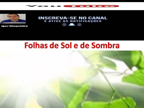 Folhas de Sol e Folhas de Sombra