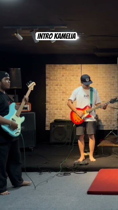 Intro kamelia (cover)