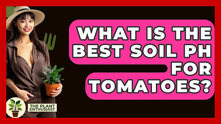 What Is The Best Soil PH For Tomatoes? - The Plant Enthusiast