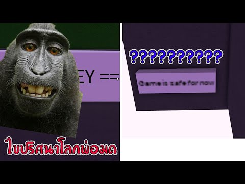 Roblox : Wacky Wizards ไขปริศนาลิงบาบูนผู้พัฒนาเกมส์