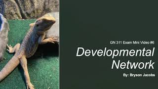 GN311 Mini Video 6: Developmental Network