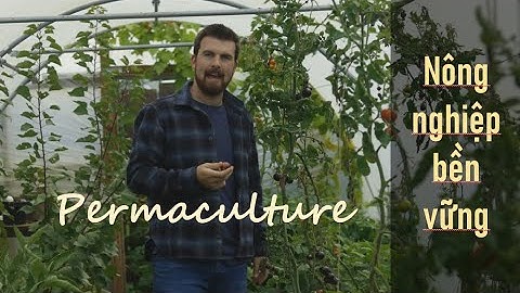 Permaculture là gì, tóm gọn đầy đủ trong 6 phút