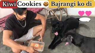 Lebrador puppy ka surprised hai Bajrangi | dog funny videos | how to train dogs| mini vlog #doglover