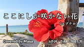 Cover ここにしか咲かない花 コブクロ Covered By Masa 068 22 Retake Youtube