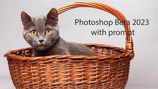 photoshop beta with prompt