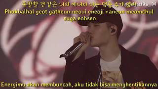 Exo (엑소) Let out the beast + Lucky (EXO'rDIUM in Seoul) [Sub Indo]