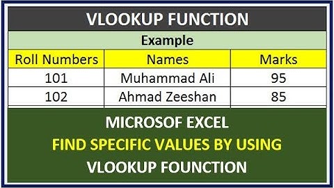 How to Use VLookup Function in Excel | Urdu | Hindi