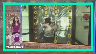 'Hug wall' helps seniors at long-term care facility connect with loved ones