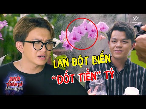 Video KỲ ÁN 13: Buôn 