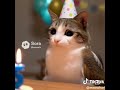 meowl... (Jokes video) #ai#edit#fypシ#fyp#ityz#youtubes#shorts#soraai
