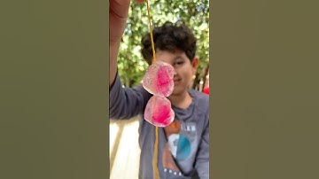 🪄Magic Ice Cubes🧊 Science Experiment for Kids | Fun Science for Kids #scienceforkids #kidsshorts