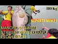 🔴#VIRAL||MANCING DAPAT  MONSTER KERAPU PURBA DI SUNGAI