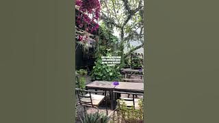 Yang bener aja rugi dong #cover #newmusic #song #lyrics #pelangi #story #storywa #storytime