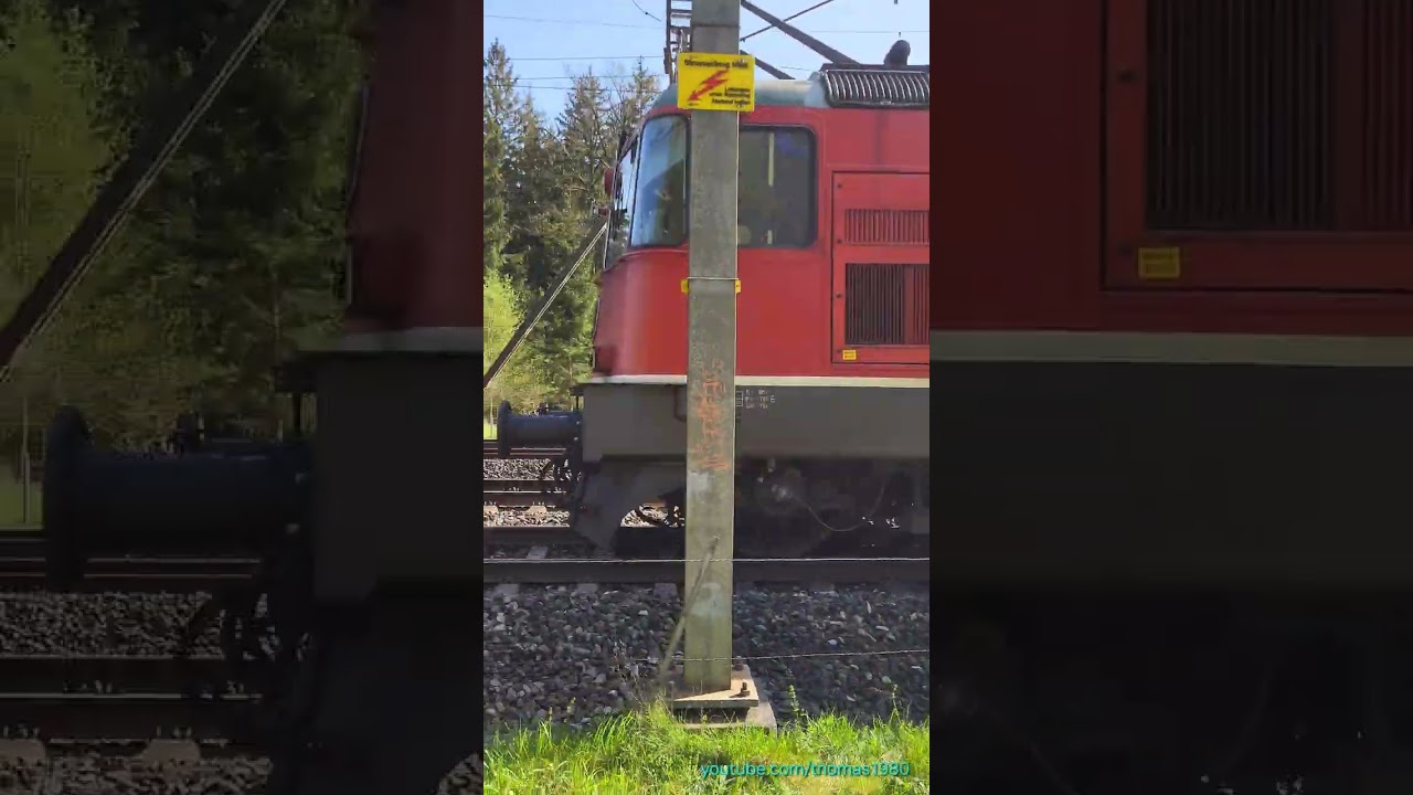 Zugsichtungen bei Buchs im Kanton Aargau | Schweiz 2024 | #shorts