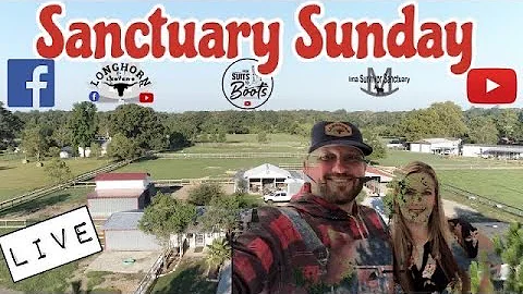 Sanctuary Sunday