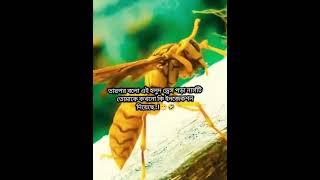 Khokono ki injection Deshe 😂😁#funny #video #viral #view #vlog #edit #duet #shorts#foryou #pov #trend