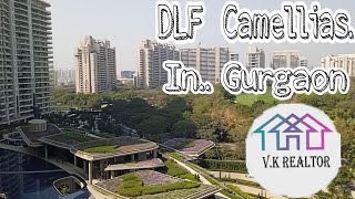 DLF The Camellias condominium  Luxury Apartments 7500.Sqft Golf Facing#gurgaon