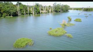 I went to kerrville today for some day job work, and it was such a
beautiful that took the mavic along with me. borderline windy
conditions, but...