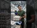 Mushroom Farming se ₹1 Lakh/month #newbusinessideas #lowinvestmentbusiness #businessideas