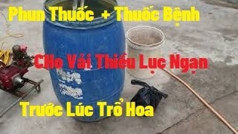 Phun Phòng Sương Mai Thán Thư CHo Vải Thiều Lục Ngạn Chuẩn Bị Trổ Hoa Loại Nào I Nui Doi Luc Ngan 98