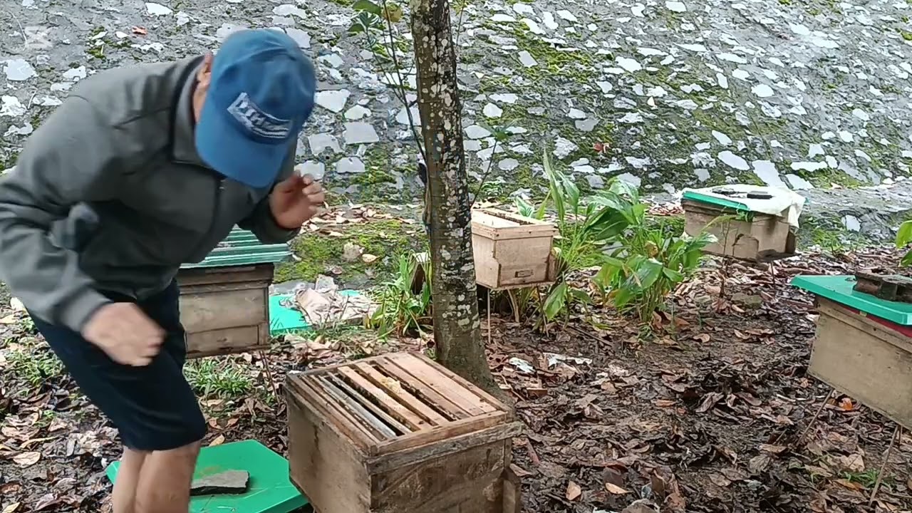 Cách tăng cầu nhanh trong nửa tháng từ một cầu lên ba cầu