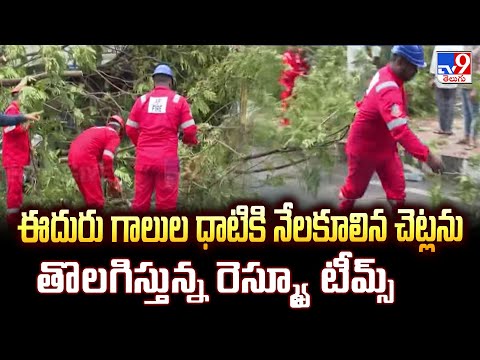 Cyclone Montha : ఈదురు గాలుల ధాటికి నేలకూలిన చెట్లను తొలగిస్తున్న రెస్క్యూ టీమ్స్ - TV9 - TV9