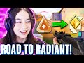 ROAD TO RADIANT W/ KYEDAE !!!