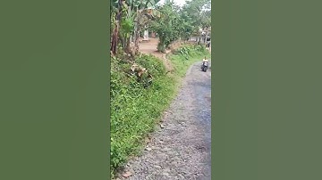 PERJALANAN MEMASUKI BADUY DALAM ATAU BADUY JERO BANTEN #survival #baduydalam #baduy #shorts #tour