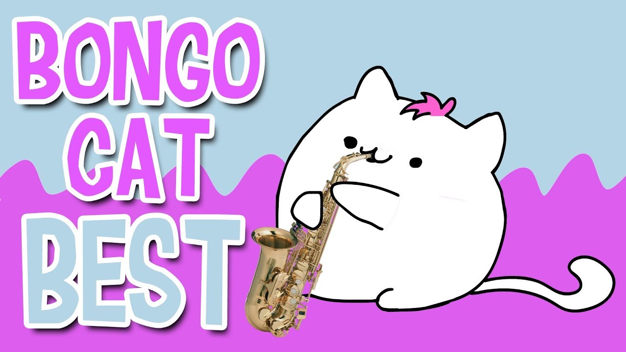 1 hours meme. Мемы про саксофон. Бонго кот. Кот с саксофоном Мем. Котик с бонгом.