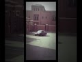 احلا امركا بالعربيه من ولد عندو 13سنه جامد احلا امركا بالعربيه من ولد عندو 13سنه جامد