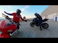 Raw short  mfpmatias and cbrtricolor  mt07 burnouts  cbr 600 circle with no hands